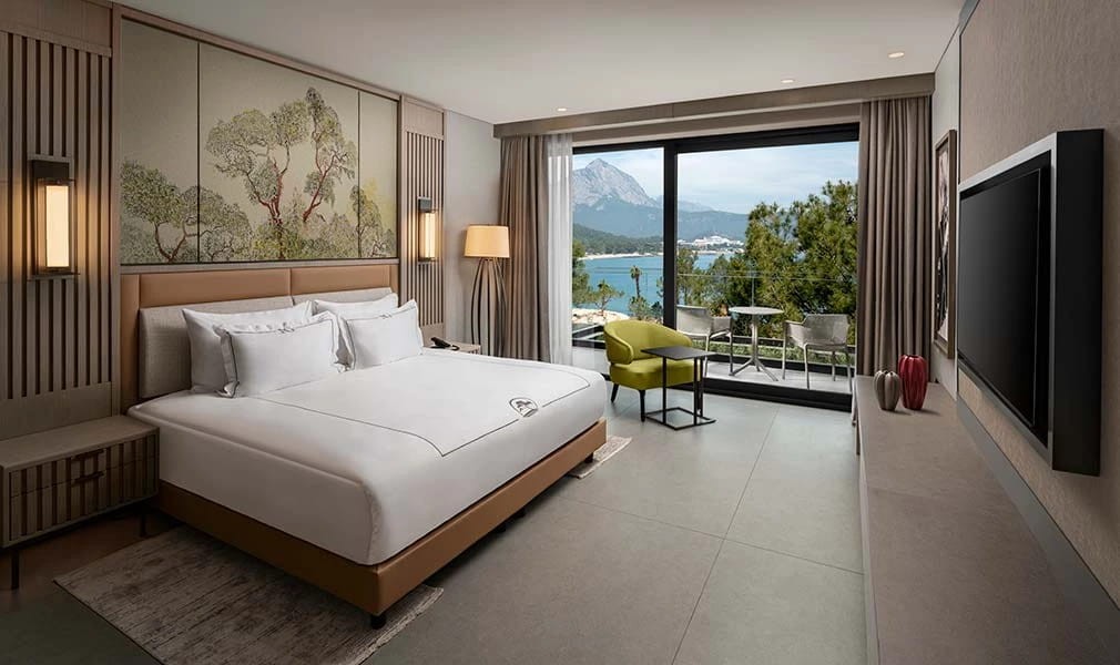 Deluxe Suite photo